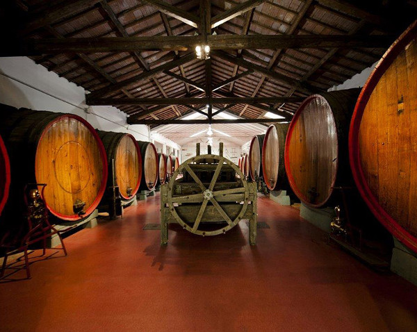 Cantina Giacobazzi e Museo